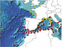 Programmed network for sea-level measurement.