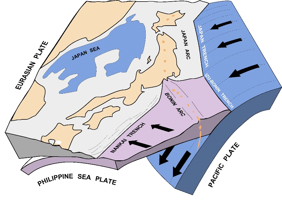schéma de principe montrant la géométrie des plaques tectoniques et leurs mouvements respectifs au voisinage du Japon (d’après L. Jolivet, ISTO, Orléans, France).